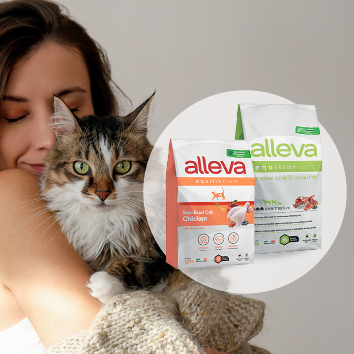 Тестирование корма для кошек бренда Alleva